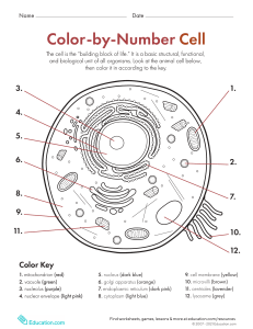 color-by-number-cell