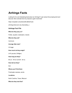 Anhinga Facts