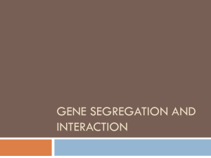 GENE SEGREGATION AND INTERACTION ppt for vlp