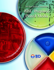 DS PM BBL-Prepared-Plated-Media BR EN