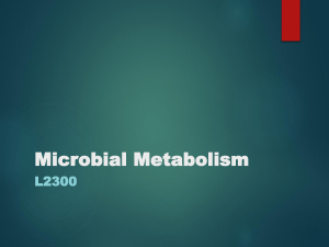 6-Microbial Metabolism PPT
