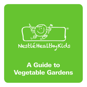A Guide to Vegetable Gardens