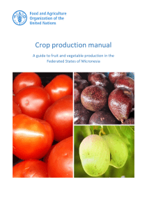 FAO Crop Production Manual