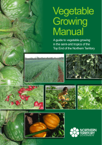 NTG  Vegetable Growing Manual
