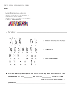 Topic 1 - Notes & Homework - Human Chromosomes & Ploidy