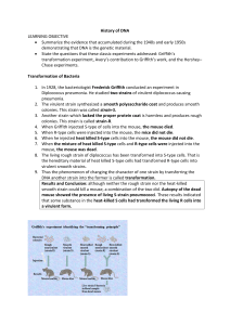 History of DNA: Griffith, Avery, Hershey-Chase Experiments