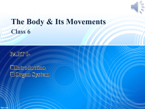 PART-1-The Body & It's Movements