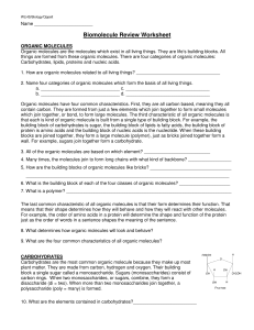 BiomoleculeReviewWorksheet