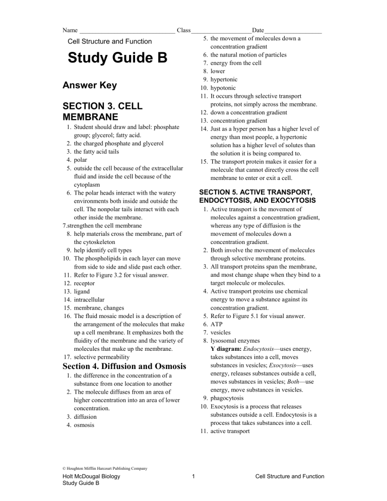 Study-guide-membrane-transport-mech 2