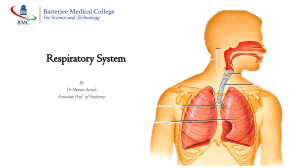 Anatomy of respiratory system