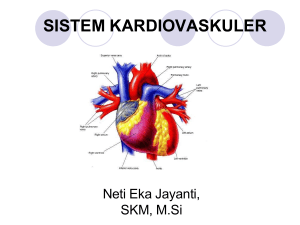 ANFIS Sistem Kardiovaskuler