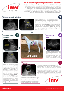 Scanning-technique-for-colic-patients-proof