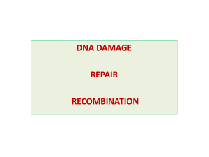 dna damage and repair