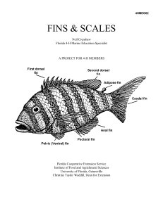 Fins-and-Scales-–-A-Project-for-4-H-Members