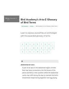 Bird Terms Glossary: Ornithology A-to-Z