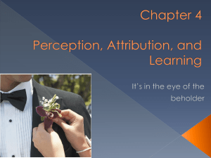 Perceptions, Attributions and learning