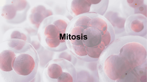 mitosis and meiosis test bank