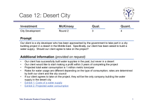 Desert City Case McK 1