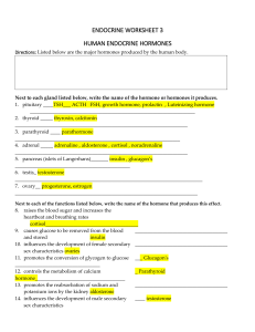 human endocrine hormones worksheet