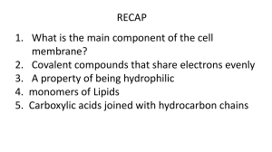Cell Organelles 2.B Lipids and Membranes