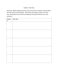 Main Idea Worksheet for Novel Study/Independent Reading