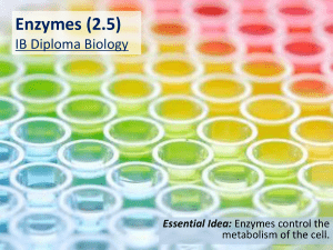 2.5 Enzymes