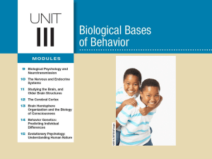 Unit 3 Biological Bases of Behavior 