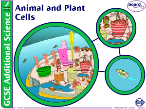 13. Animal and Plant Cells v1.0