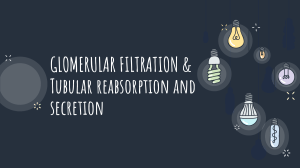 Filtration and Reabsorption
