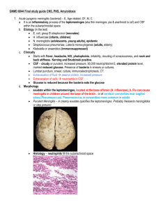 Neurology_pathology