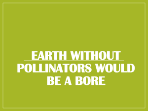 Pollinator Lesson PPT
