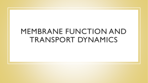 Membrane function and Transport dynamics