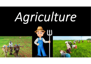 Agriculture slides