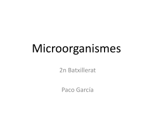 microorganismes I (2)