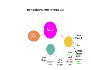 Concept Map-How Light With our Eyes