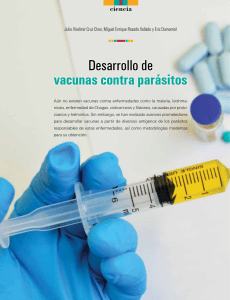 desarrollo vacunas