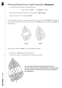 Photosynthesis Exam Style Questions 1 Answers