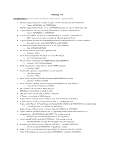 Kinesiology Summary