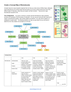 Create a Concept Map of Biomolecules (1)
