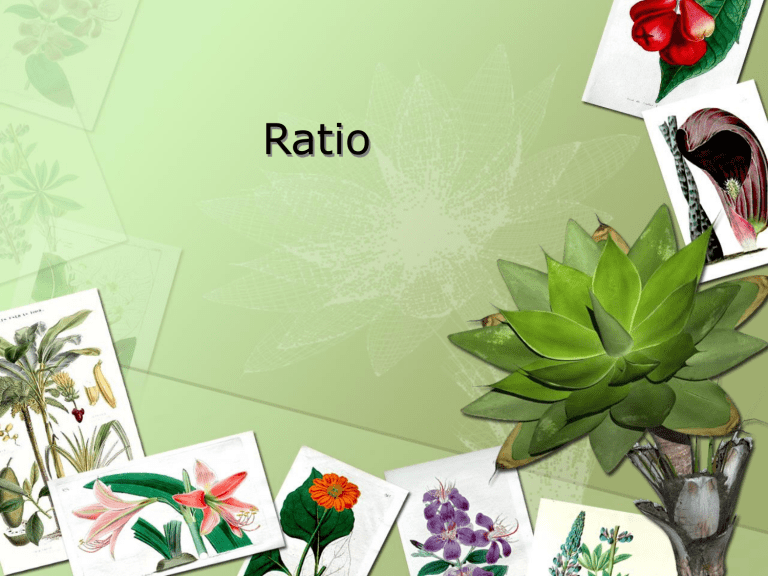 Ratio1