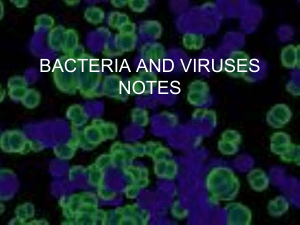 Bacteria and Viruses Notes 2021