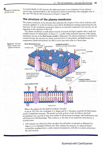 Cell membrane Diagrams Transport across Cell Membrane