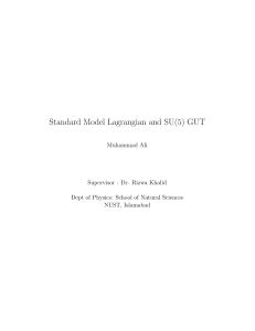 Standard Model Lagrangian and SU(5) GUT