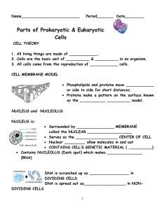 Parts-of-a-Eukaryotic-Cell-1