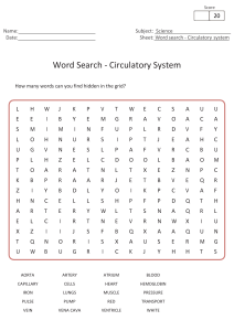 circulatory-system-word-search-activity-wordsearches