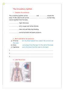 circulatory-system worksheet