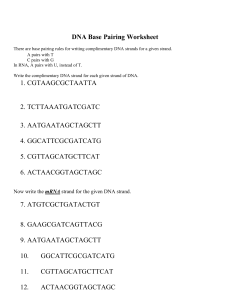 9 Base Pairing Worksheet