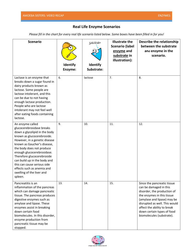 8 2 1 Enzymes Real Life Scenarios