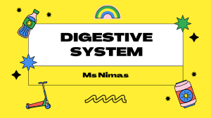 digesstive system 
