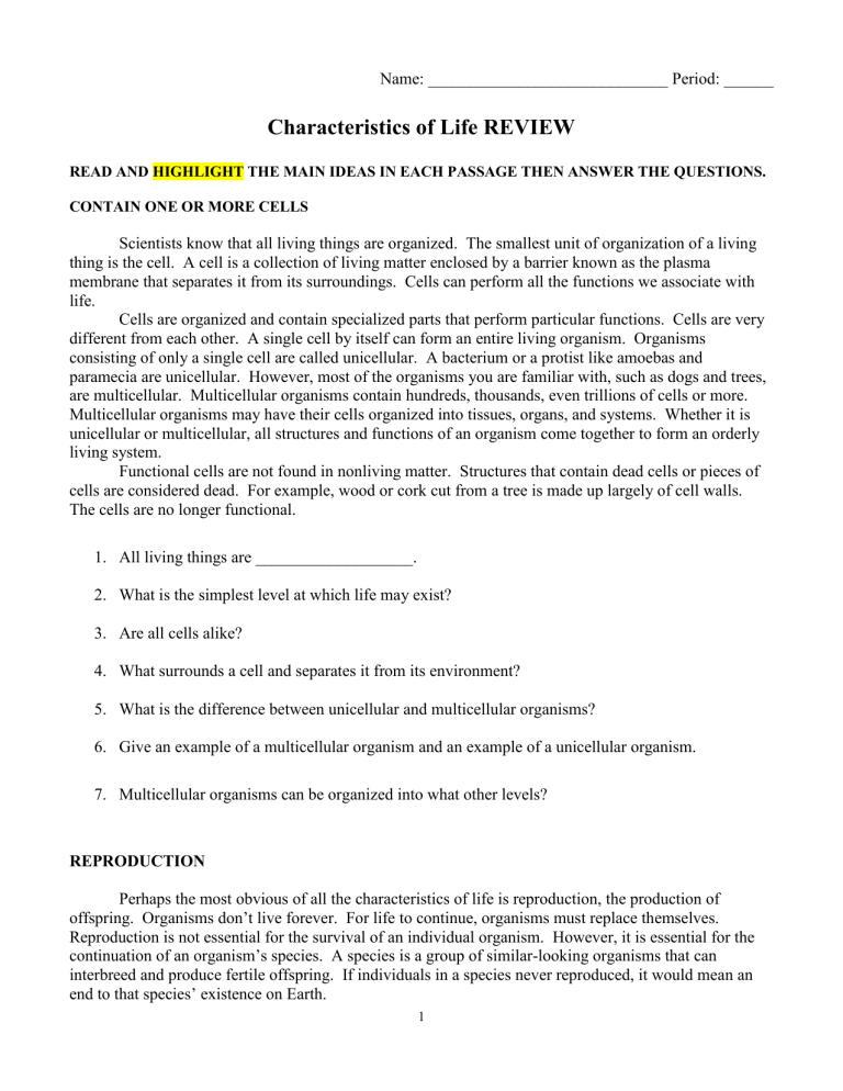 Characteristics Of Life Review WS